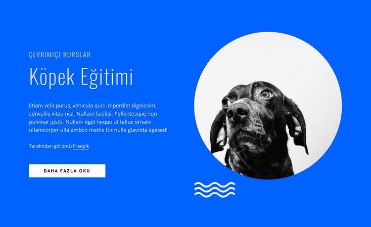 Çevrimiçi köpek eğitim kursları Web Sitesi Mockup'ı