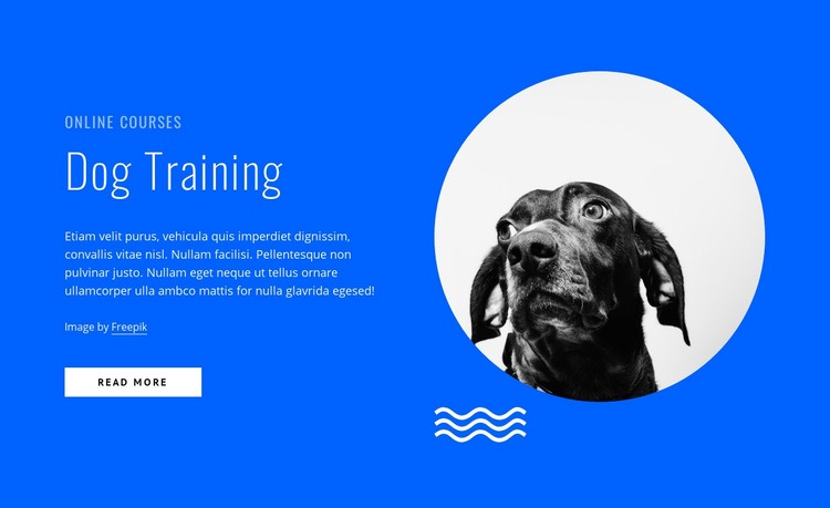 Dog training courses online Web Page Design