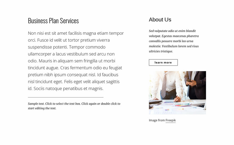 Business plan services Website Mockup