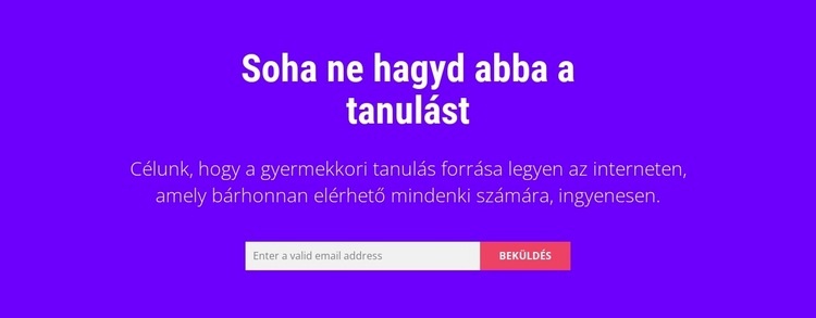 Soha ne hagyd abba a tanulást Weboldal sablon