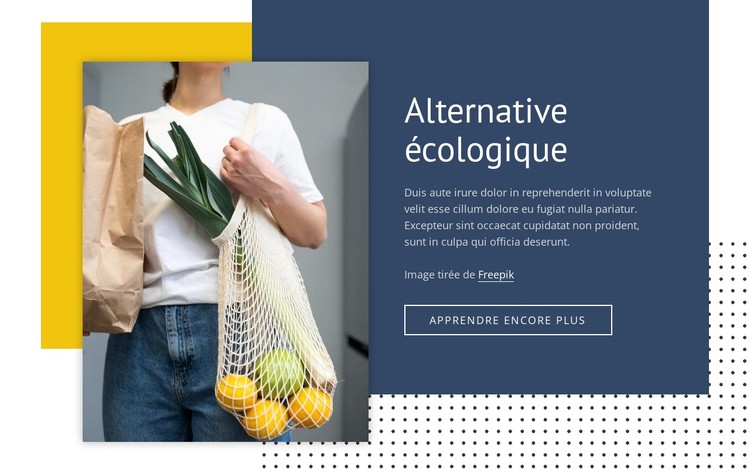 7 alternatives écologiques Modèle CSS