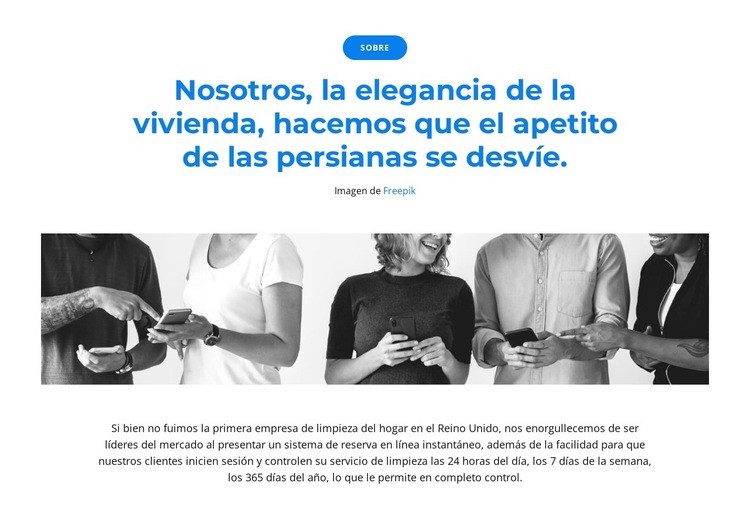 Somos un equipo de líderes Plantillas de creación de sitios web