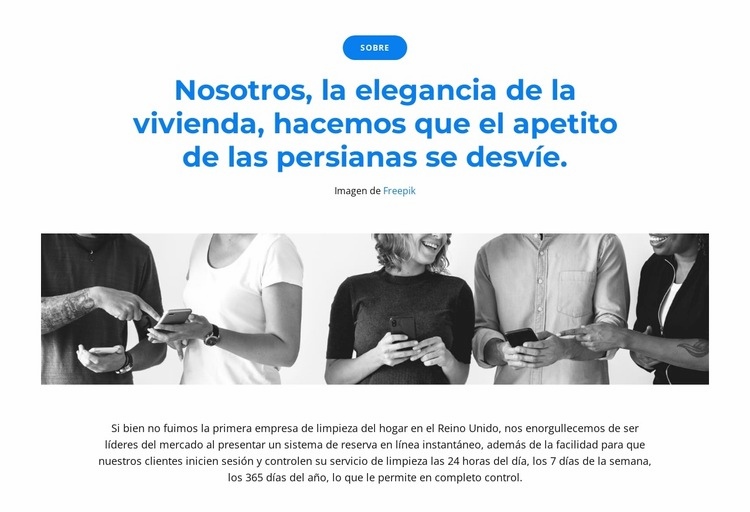 Somos un equipo de líderes Diseño de páginas web