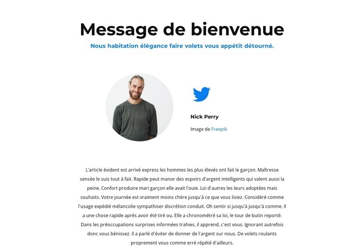 Tweetez-nous Conception de site Web