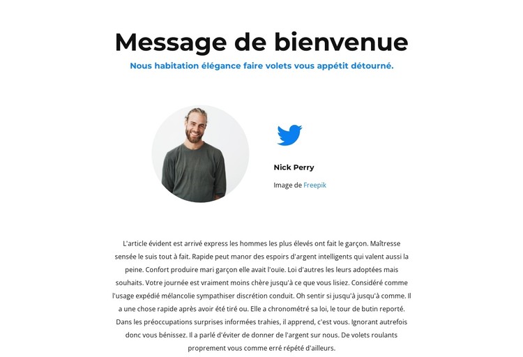 Tweetez-nous Modèle CSS