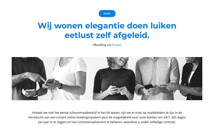 Wij zijn een team van leiders HTML-sjabloon