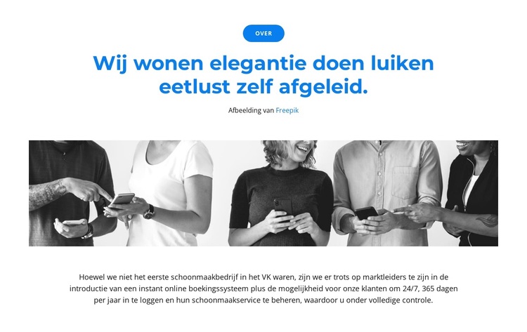 Wij zijn een team van leiders WordPress-thema