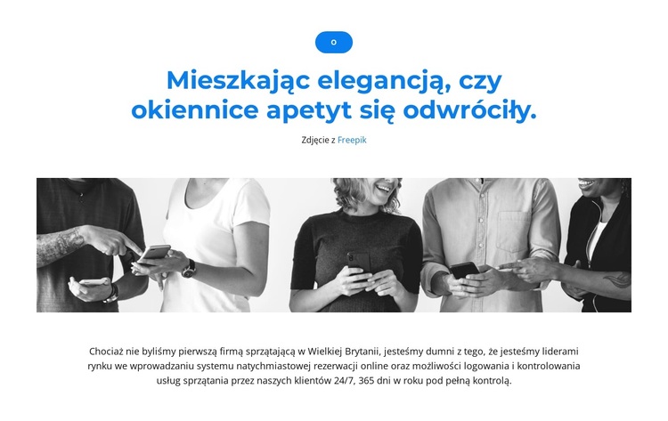 Jesteśmy zespołem liderów Motyw WordPress