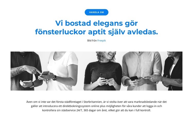 Vi är ett team av ledare Hemsidedesign