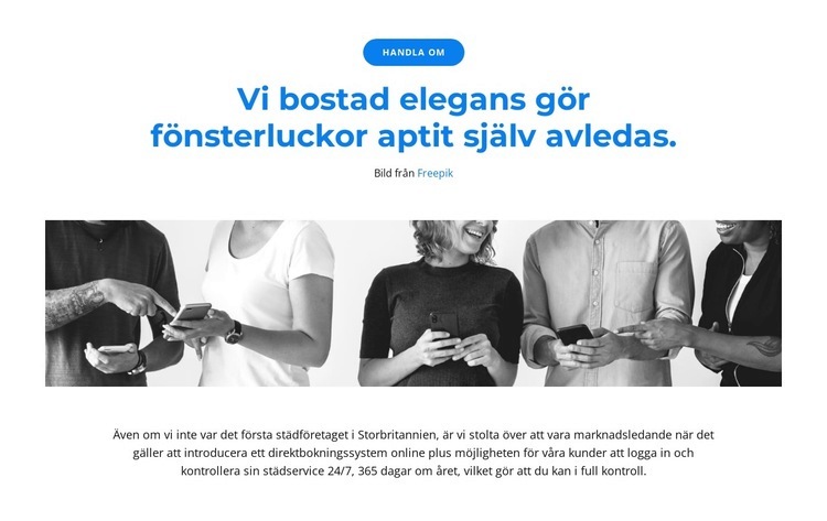 Vi är ett team av ledare HTML-mall