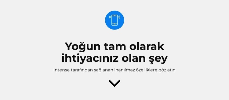 Neye ihtiyacın var Web Sitesi Oluşturucu Şablonları