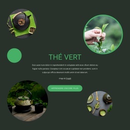 Avantages De L'Histoire Du Thé Vert – Outil De Création De Sites Web Facile À Utiliser