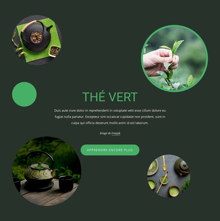Avantages de l'histoire du thé vert Créateur de site Web HTML
