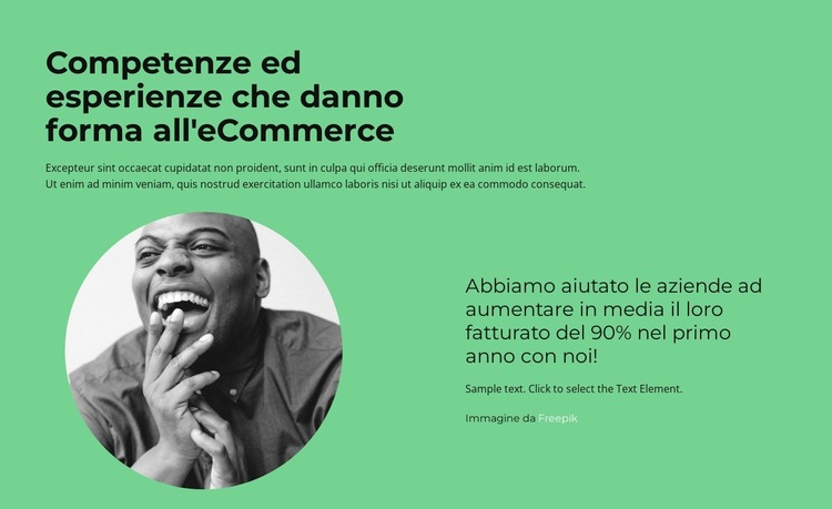 Consultazione rapida Modello di sito Web