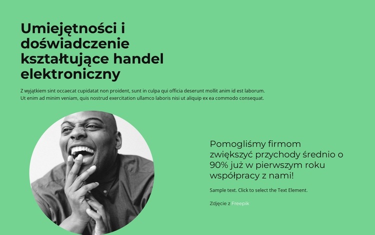 Szybka konsultacja Szablon witryny sieci Web