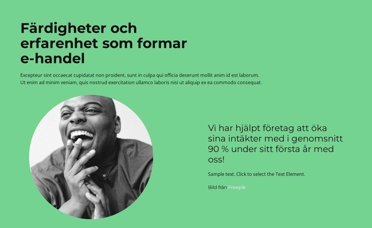 Snabb konsultation Webbplats mall