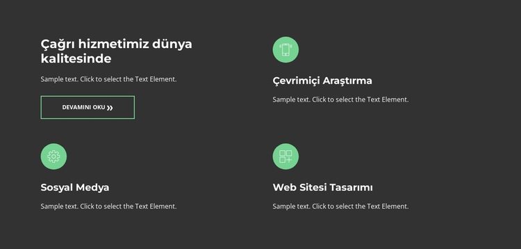 Her şeyde lider WordPress Teması