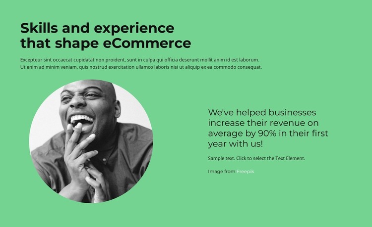 Quick consultation WordPress Theme