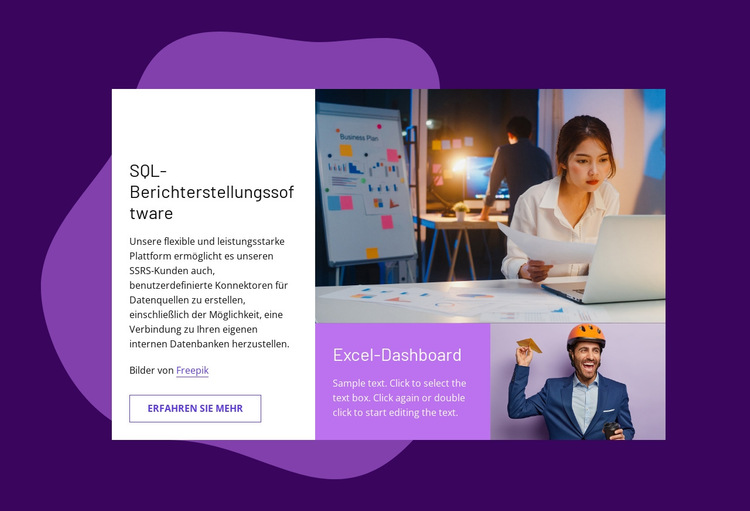 SQL-Berichterstellungssoftware Website-Vorlage