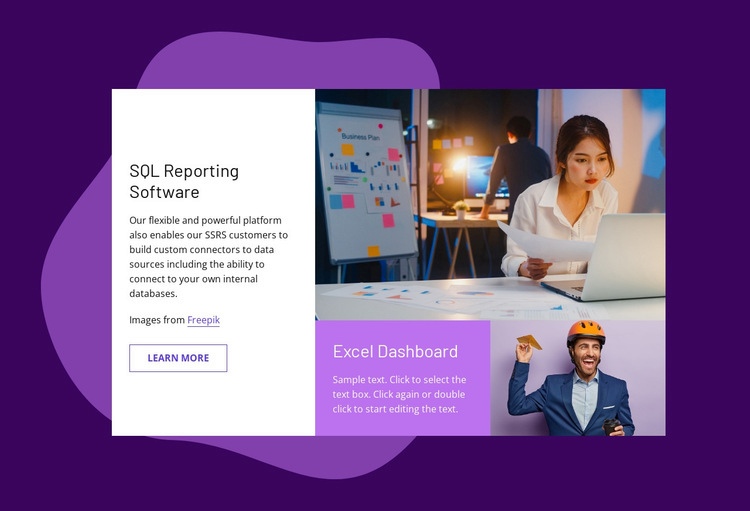 SQL reporting software Homepage Design