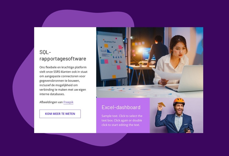 SQL-rapportagesoftware Website ontwerp