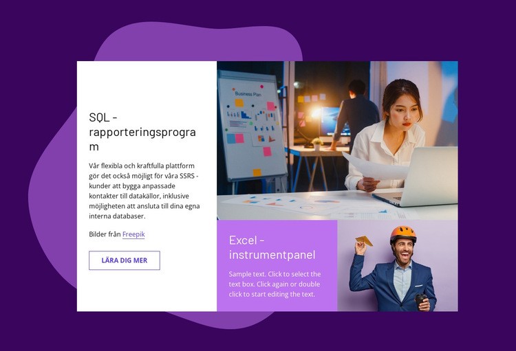 SQL -rapporteringsprogram Hemsidedesign