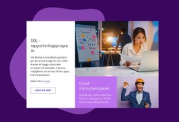 SQL -Rapporteringsprogram