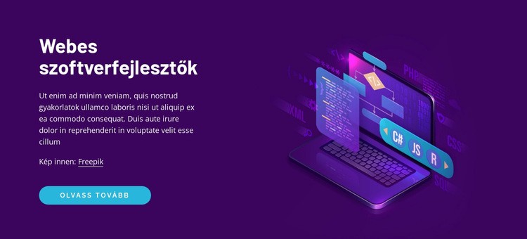 Webes szoftverfejlesztők WordPress Téma