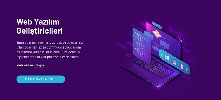 Web yazılım geliştiricileri Web sitesi tasarımı