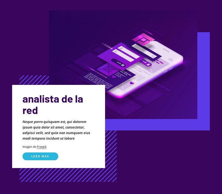 Analista de la red Diseño de páginas web