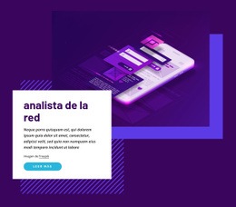 Analista De La Red - Página De Destino Profesional