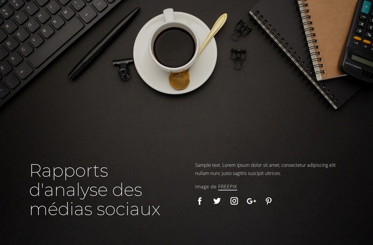 Rapports d'analyse des médias sociaux Conception de site Web