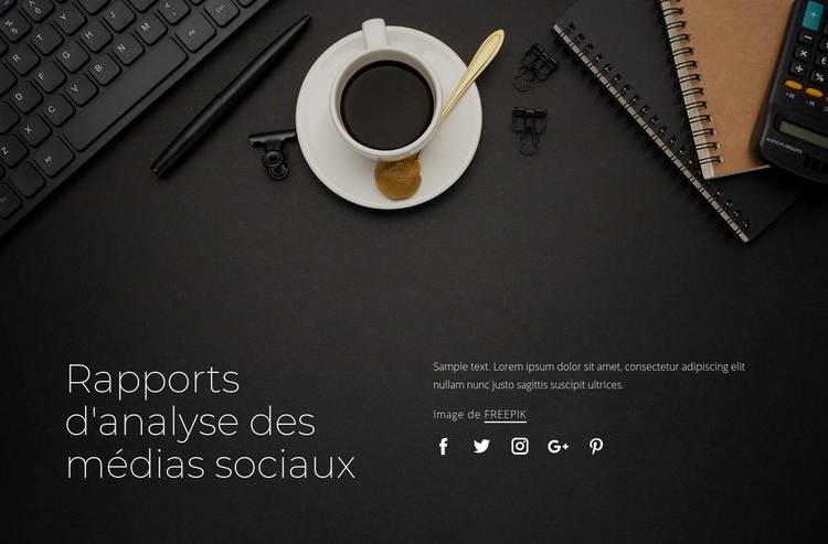 Rapports d'analyse des médias sociaux Maquette de site Web