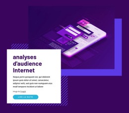 Analyses D'Audience Internet – Modèle De Site Web Gratuit