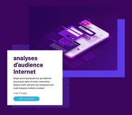Analyses D'Audience Internet - Modèle De Page HTML
