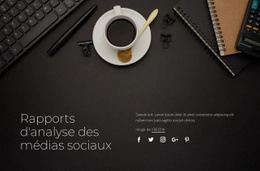 Rapports D'Analyse Des Médias Sociaux