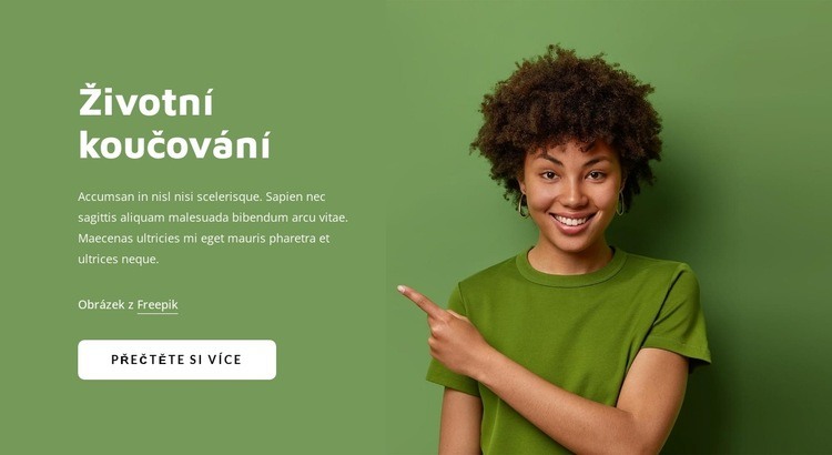 Online život koučování Šablona CSS