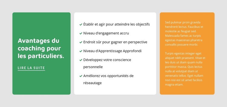 Coaching pour les particuliers Maquette de site Web