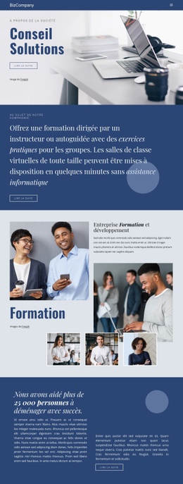 Formation Et Développement Professionnel : Modèle Moderne D'Une Page