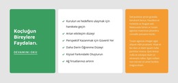 Bireysel Koçluk - HTML5 Şablonu