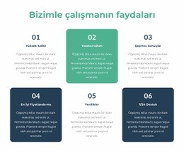 Öğrenme Ve Gelişim Fırsatları - Yaratıcı, Çok Amaçlı Site Tasarımı