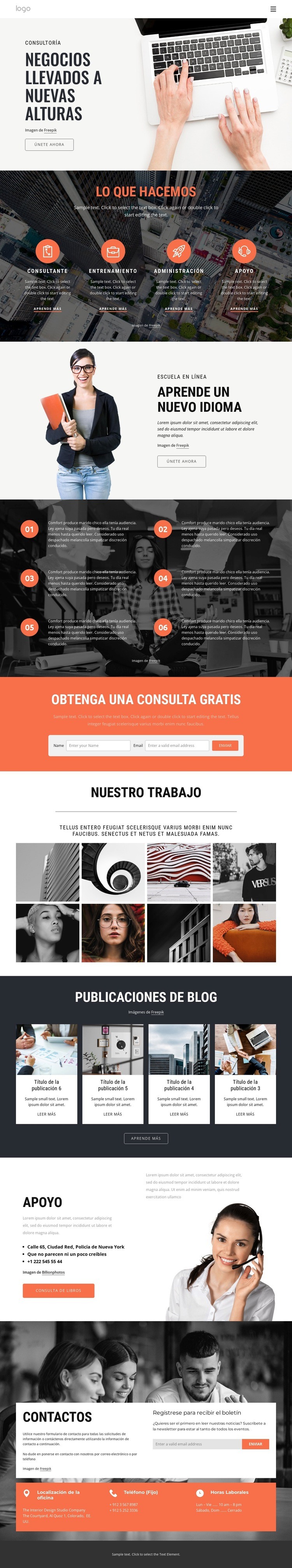 Cómo la consultoría ayuda a acelerar el éxito Diseño de páginas web