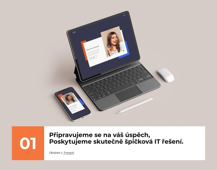 Poskytujeme špičkový web design Šablona CSS