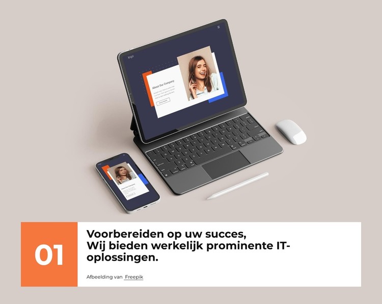 Wij bieden toonaangevend webdesign CSS-sjabloon