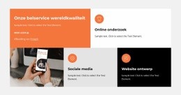 Raster Met Gekleurde Pictogrammen En Teksten -Klaar Voor Gebruik Websitemodel