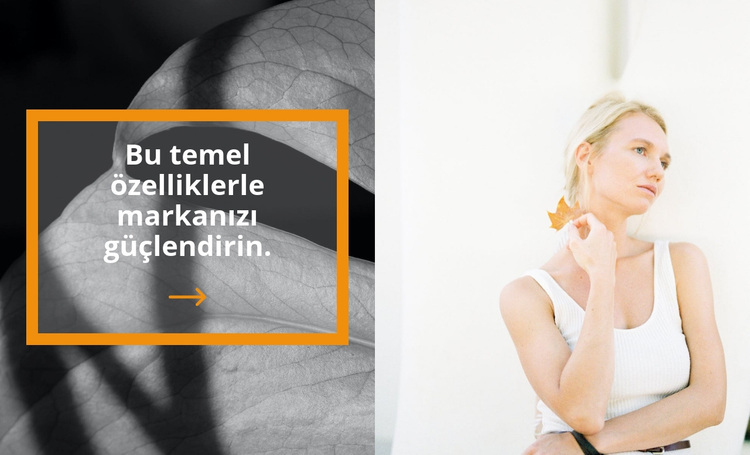 Tarz sağlıkla başlar WordPress Teması