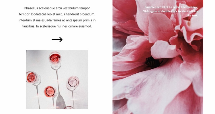 Výroba růžového vína Šablona CSS