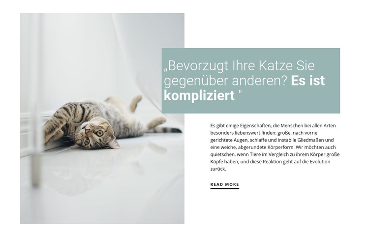 Wie man eine Hauskatze pflegt HTML-Vorlage