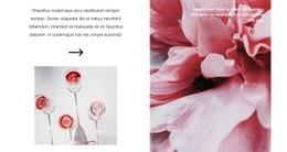 Herstellung Von Roséwein #Html5-Template-De-Seo-One-Item-Suffix