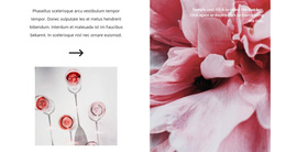 Herstellung Von Roséwein – Bestes Kostenloses WordPress-Theme
